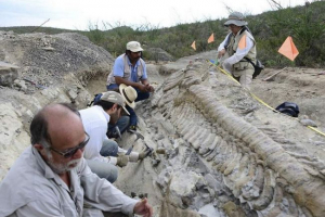 Oamenii de știință din întreaga lume caută rămășițele dinozaurii de pe vologda